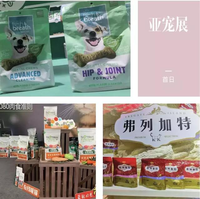 史上最大亚宠展,一篇看完14馆亮点
