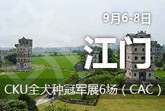 江门CKU全犬种冠军展6场(CAC)