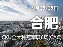 9月13-15日合肥CKU全犬种冠军展6场(CAC)